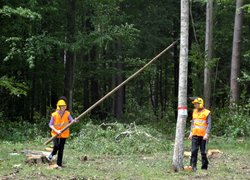 Лісове багатоборство 2013